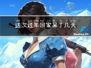 这次过年回家呆了几天英语