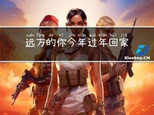 远方的你今年过年回家了吗