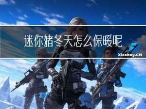 迷你猪冬天怎么保暖呢