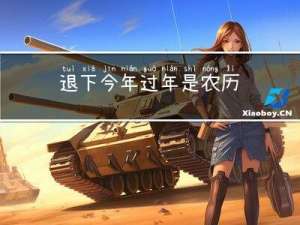 退下今年过年是农历