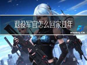 退役军官怎么回家过年
