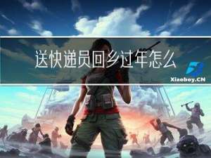 送快递员回乡过年怎么办