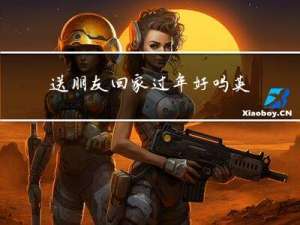 送朋友回家过年好吗英文