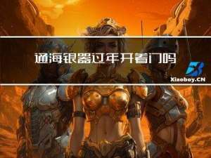 通海银器过年开着门吗
