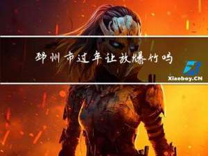 邳州市过年让放爆竹吗