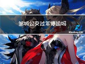 邹城公交过年停运吗