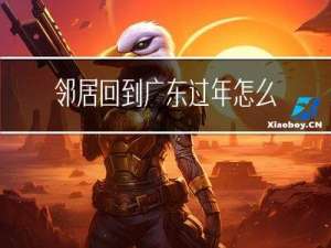 邻居回到广东过年怎么办