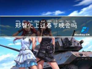 郑智化上过春节晚会吗