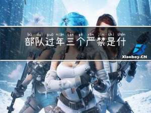 部队过年三个严禁是什么