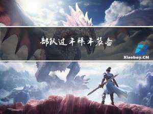 部队过年拜年装备