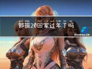 郭振 回家过年了吗