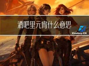 酒吧里元宵什么意思