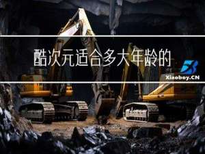 酷次元适合多大年龄的人玩