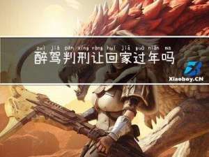 醉驾判刑让回家过年吗