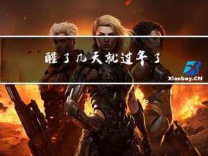 醒了几天就过年了