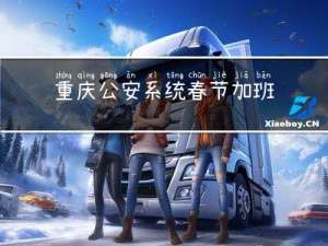 重庆公安系统春节加班吗