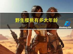 野生樱桃有多大年龄