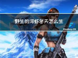 野生的河虾冬天怎么生存