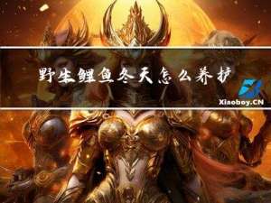 野生鲤鱼冬天怎么养护
