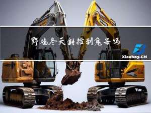 野鸡冬天能捡到兔子吗