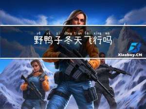 野鸭子冬天飞行吗