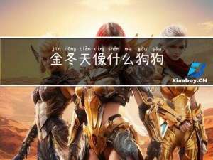 金冬天像什么狗狗