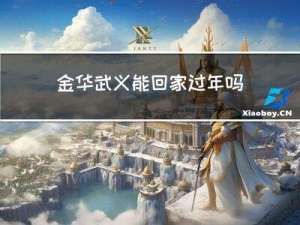 金华武义能回家过年吗
