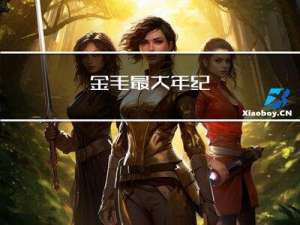 金毛最大年纪