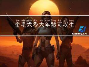 金毛犬多大年龄可以生育