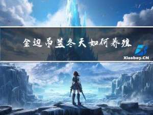 金边吊兰冬天如何养殖