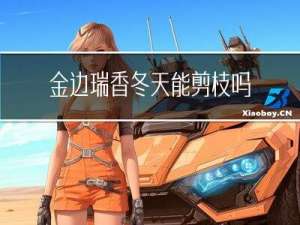 金边瑞香冬天能剪枝吗