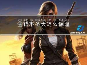 金钱木冬天怎么保温