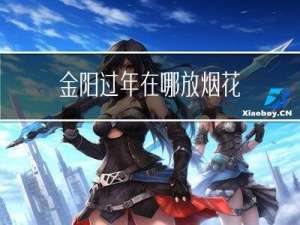 金阳过年在哪放烟花