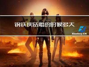 钢铁侠结婚的时候多大年龄