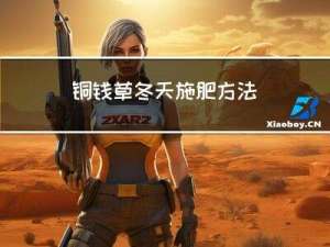 铜钱草冬天施肥方法