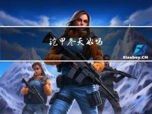 铠甲冬天冰吗