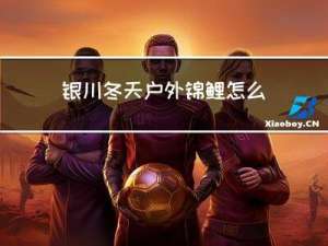 银川冬天户外锦鲤怎么过冬