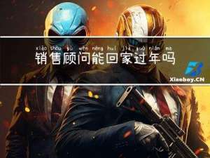 销售顾问能回家过年吗小说