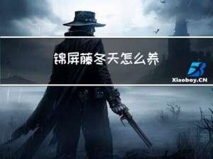 锦屏藤冬天怎么养