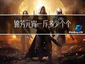 锦芳元宵一斤多少个个