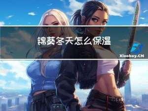 锦葵冬天怎么保温