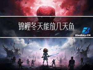 锦鲤冬天能放几天鱼