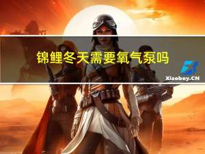 锦鲤冬天需要氧气泵吗