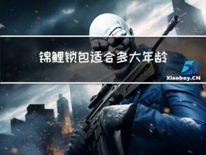 锦鲤锁包适合多大年龄