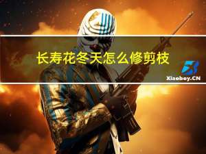 长寿花冬天怎么修剪枝