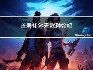长寿花冬天栽种好吗