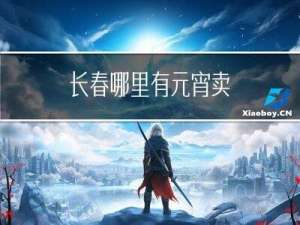 长春哪里有元宵卖