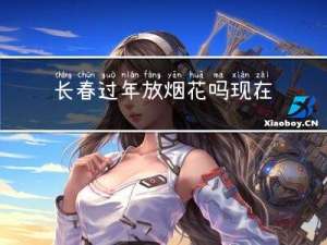 长春过年放烟花吗现在