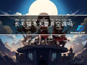 长毛猫冬天要开空调吗