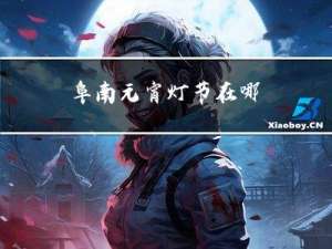 阜南元宵灯节在哪